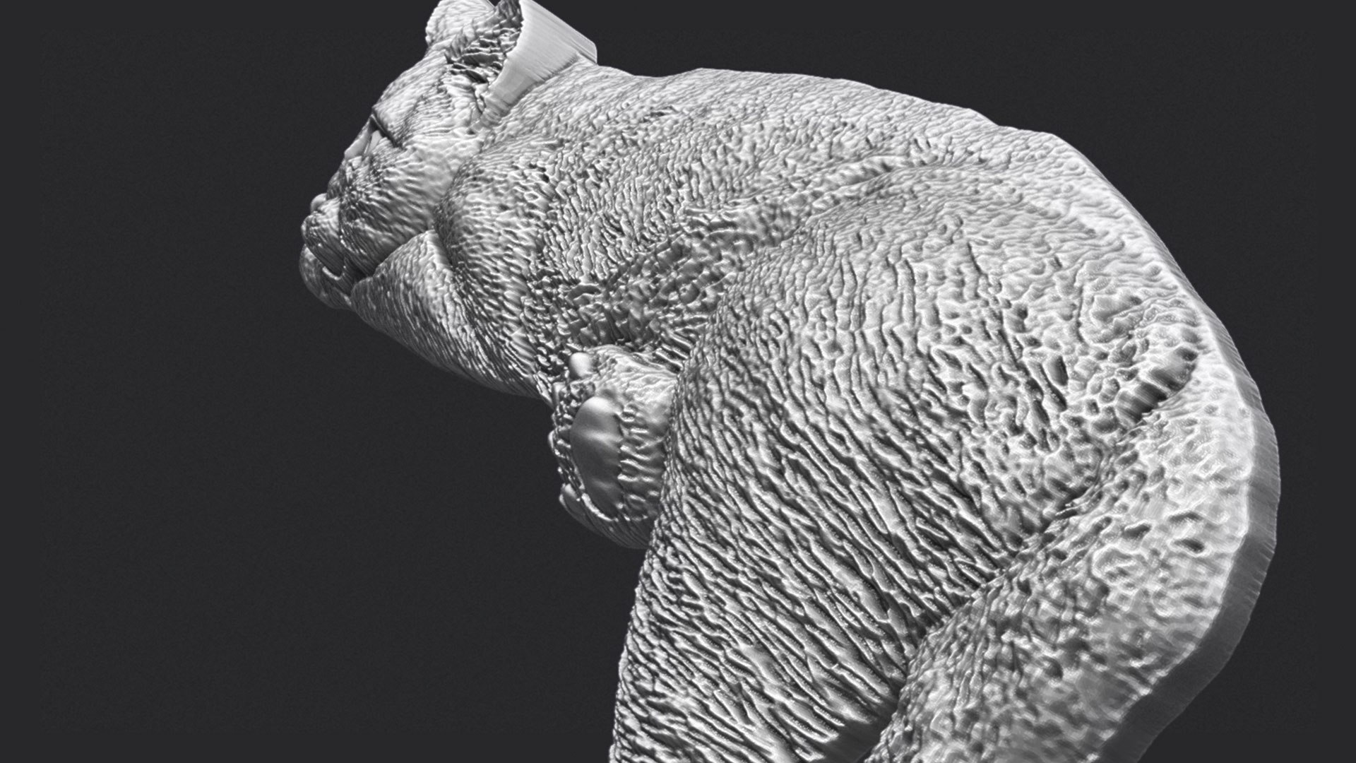 Lazy Cat Bas-Relief 3D - TurboSquid 2092587