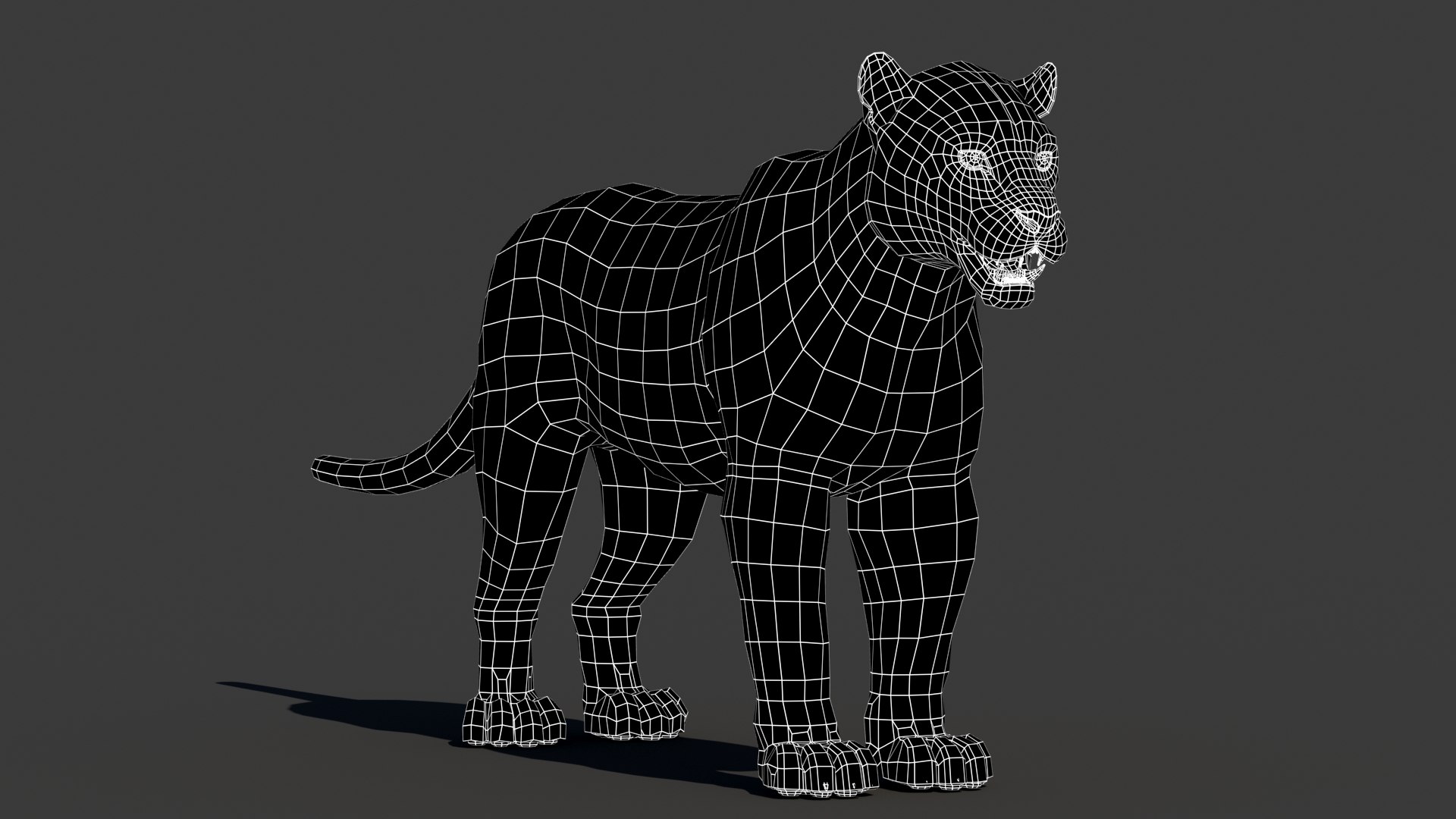 mammal animal max https://p.turbosquid.com/ts-thumb/06/RkZ5Xj/bg/jaguaranimal3dmodelwireframe01/jpg/1722186763/1920x1080/fit_q87/1eb615c78685d6f748d6cc318d996285b0b5a7a9/jaguaranimal3dmodelwireframe01.jpg