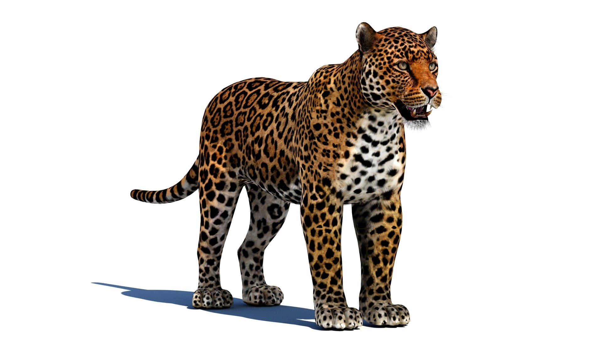 mammal animal max https://p.turbosquid.com/ts-thumb/06/RkZ5Xj/l3/jaguaranimal3dmodel02_arnold/jpg/1722186516/1920x1080/fit_q87/ed211ebf6d2b4701ebac7e84cb330987ef5d8bab/jaguaranimal3dmodel02_arnold.jpg