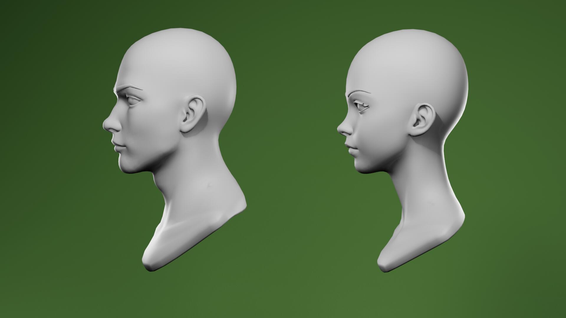 3D Stylized Anime Male and Female Head Base Mesh 3D Model https://p.turbosquid.com/ts-thumb/06/aB9YJz/P1/00_03/jpg/1774534704/1920x1080/fit_q87/eacfe9924563e34d78f94eaf93fdef908bfd76db/00_03.jpg