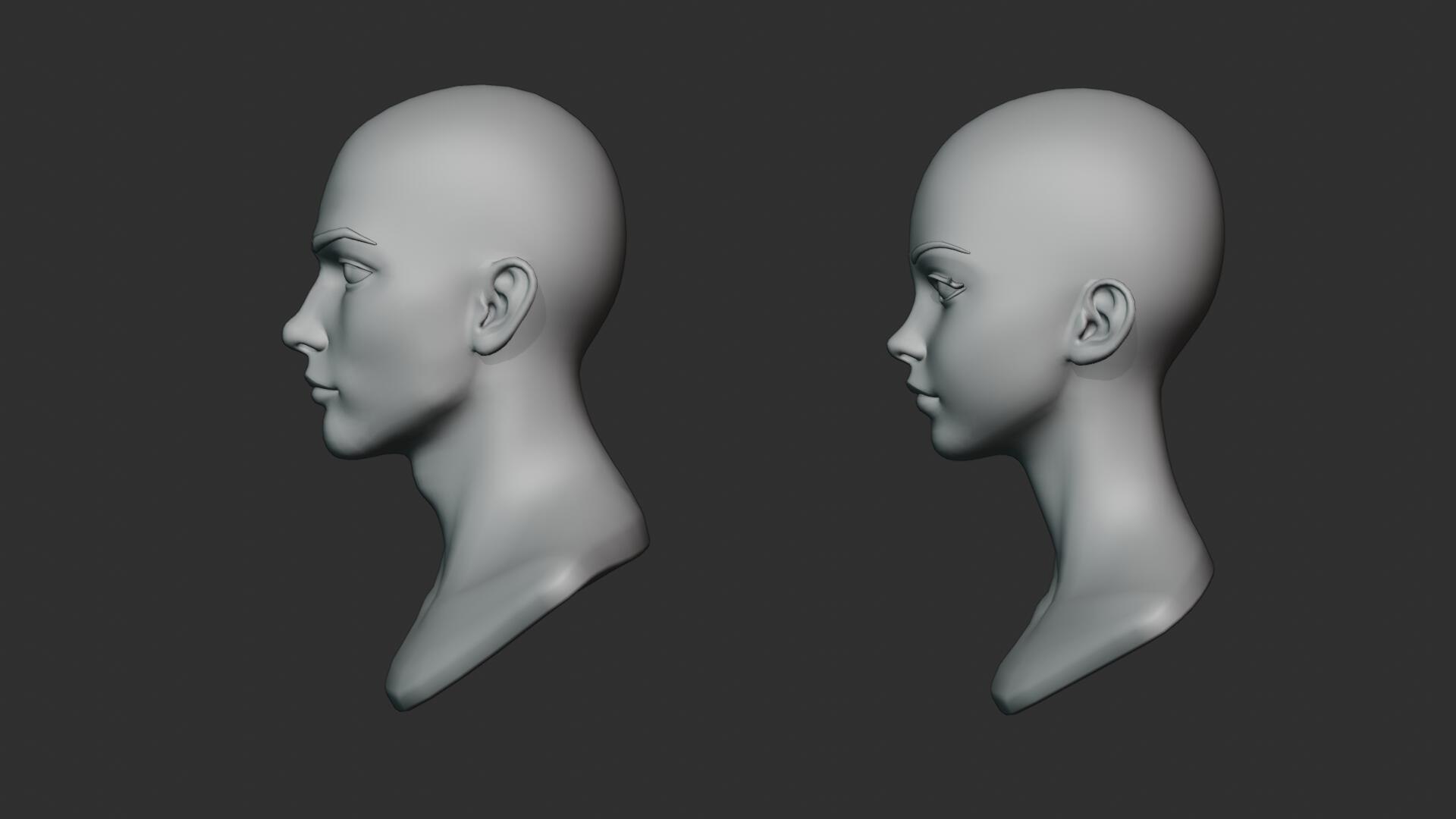 3D Stylized Anime Male and Female Head Base Mesh 3D Model https://p.turbosquid.com/ts-thumb/06/aB9YJz/wh/00_09/jpg/1774534707/1920x1080/fit_q87/f3a0f4e02d750eb647c05cc8b787346350cbad9f/00_09.jpg