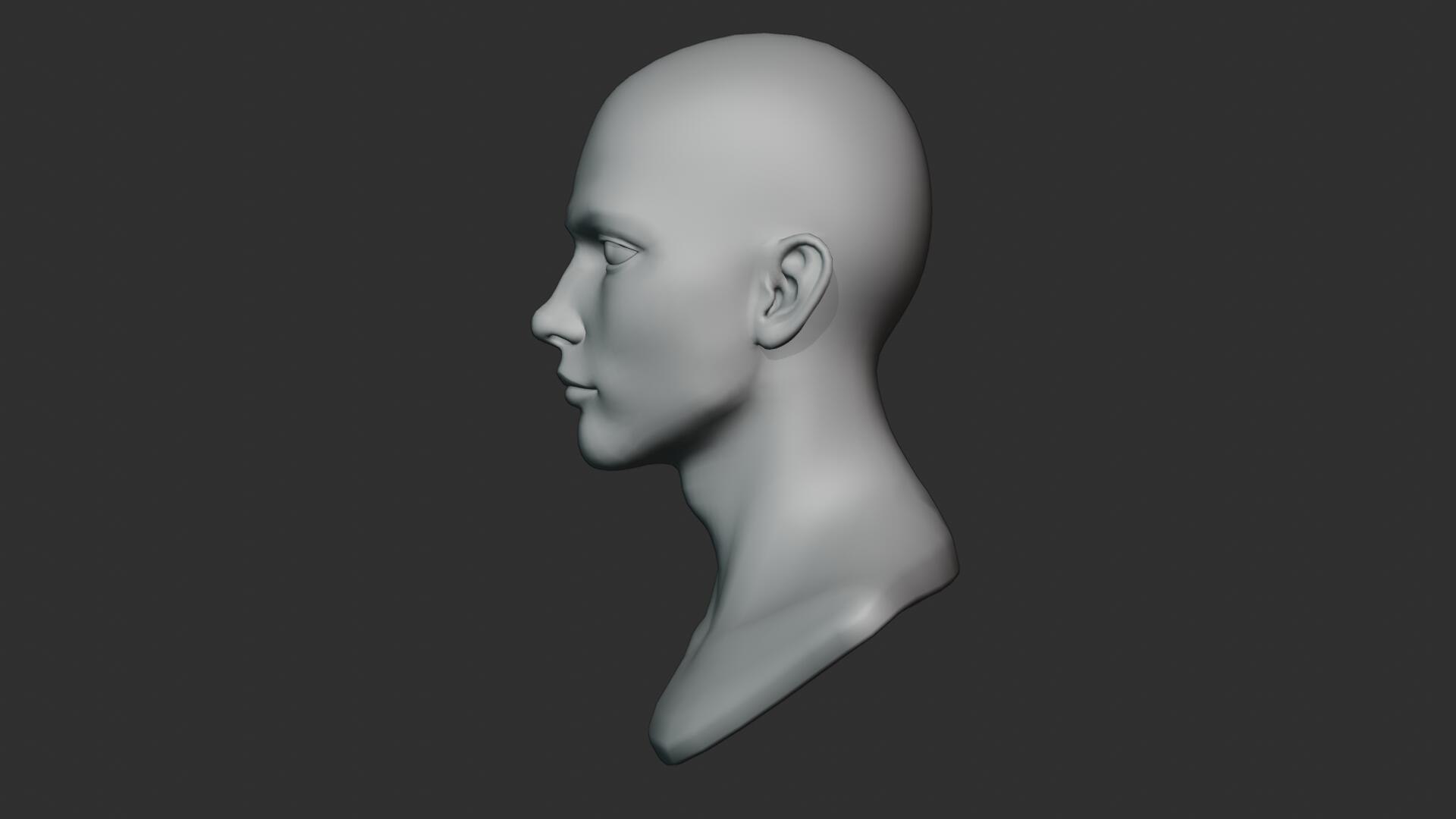 3D Stylized Anime Male and Female Head Base Mesh 3D Model https://p.turbosquid.com/ts-thumb/06/aB9YJz/xQ/24/jpg/1774534753/1920x1080/fit_q87/c16e1ebc73de99f5cfe45d968907ae7080043f5d/24.jpg