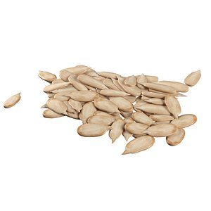 Sunflower seed pile v1 3D model