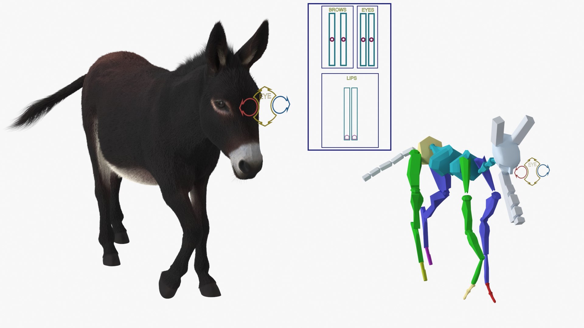 3D Farm Animals Big Rigged Collection 5 https://p.turbosquid.com/ts-thumb/06/jI1czq/3B/farm_animals_big_rigged_collection_5_010/jpg/1768986963/1920x1080/fit_q87/5772c587dfb47d962257fbd4ceb2b37f6ef50432/farm_animals_big_rigged_collection_5_010.jpg