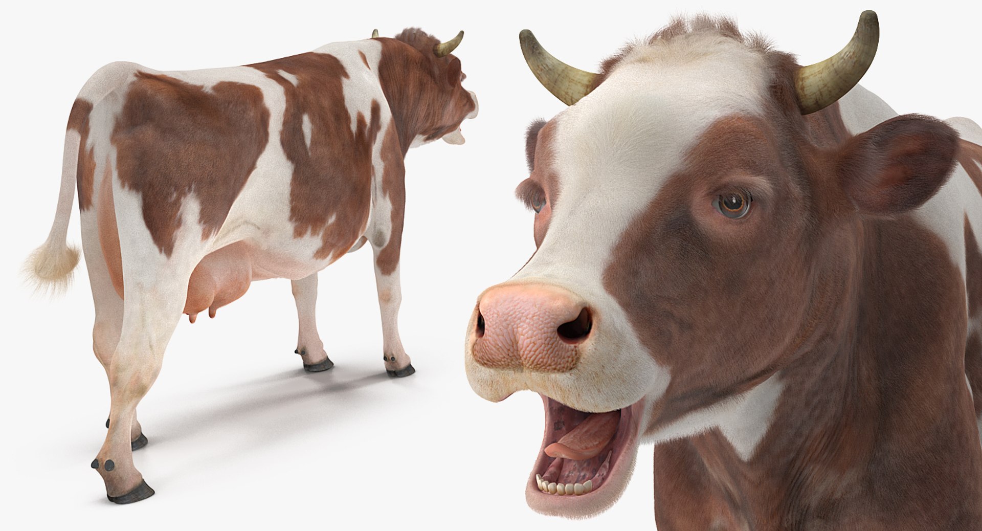 3D Farm Animals Big Rigged Collection 5 https://p.turbosquid.com/ts-thumb/06/jI1czq/3U/farm_animals_big_rigged_collection_5_056/jpg/1768986986/1920x1080/fit_q87/4d62471052d02a98c7a36a64dcf955a798de075e/farm_animals_big_rigged_collection_5_056.jpg