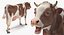 Colección 5 de animales de granja de gran tamaño