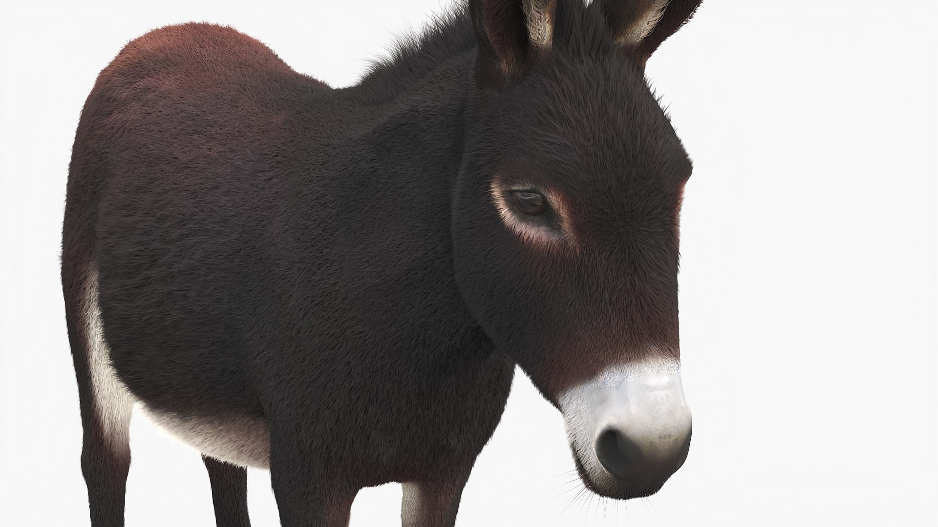 3D Farm Animals Big Rigged Collection 5 https://p.turbosquid.com/ts-thumb/06/jI1czq/4F/farm_animals_big_rigged_collection_5_011/jpg/1768986964/1920x1080/fit_q87/86914e5ccafb2937265d69db11e351b29de7f2f8/farm_animals_big_rigged_collection_5_011.jpg
