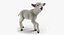 Colección 5 de animales de granja de gran tamaño