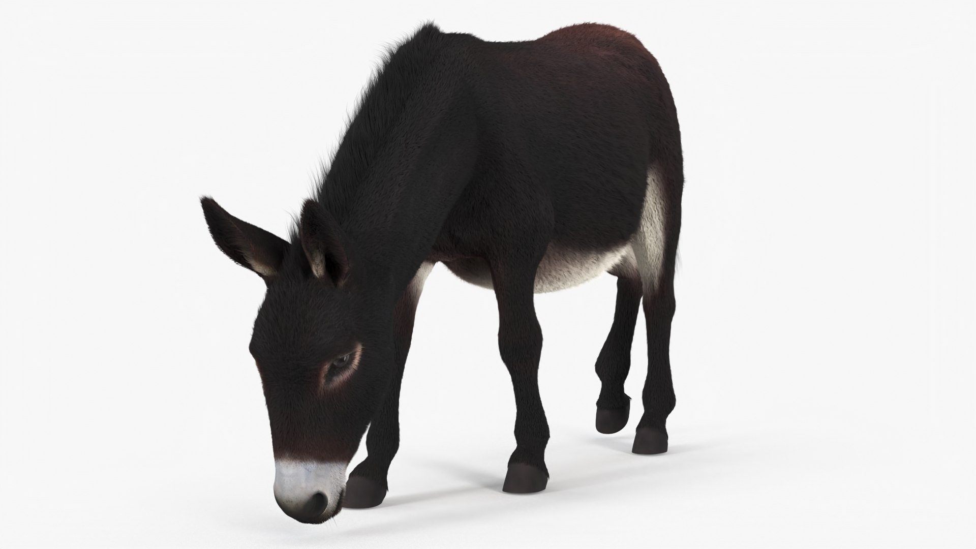 3D Farm Animals Big Rigged Collection 5 https://p.turbosquid.com/ts-thumb/06/jI1czq/8J/farm_animals_big_rigged_collection_5_009/jpg/1768986963/1920x1080/fit_q87/6afbaaa31a96306755a83ab19bfa74a4cc015295/farm_animals_big_rigged_collection_5_009.jpg