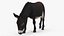 Colección 5 de animales de granja de gran tamaño