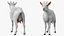 Colección 5 de animales de granja de gran tamaño
