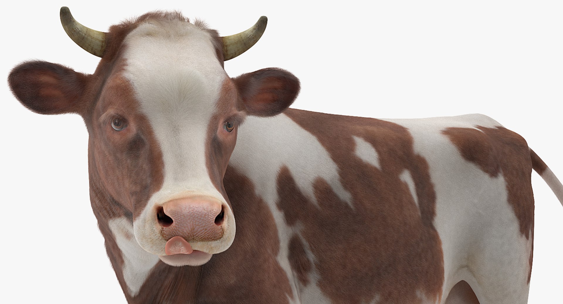3D Farm Animals Big Rigged Collection 5 https://p.turbosquid.com/ts-thumb/06/jI1czq/JG/farm_animals_big_rigged_collection_5_057/jpg/1768986987/1920x1080/fit_q87/2a0e9b6e65858f76d4e99a84796cfb59c9e110eb/farm_animals_big_rigged_collection_5_057.jpg