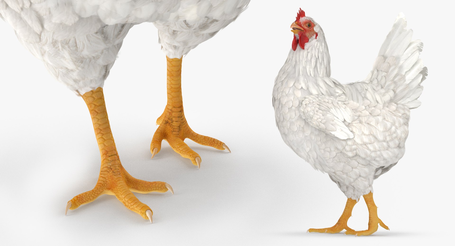 3D Farm Animals Big Rigged Collection 5 https://p.turbosquid.com/ts-thumb/06/jI1czq/Za/farm_animals_big_rigged_collection_5_068/jpg/1768986992/1920x1080/fit_q87/739370950075394b67e2b69e39ba1f5972111c9a/farm_animals_big_rigged_collection_5_068.jpg