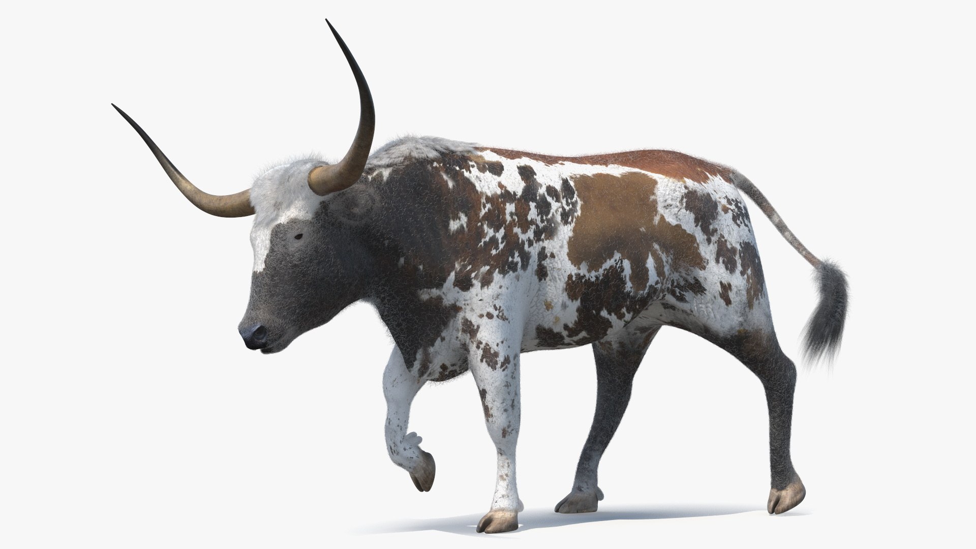 3D Farm Animals Big Rigged Collection 5 https://p.turbosquid.com/ts-thumb/06/jI1czq/bR/farm_animals_big_rigged_collection_5_002/jpg/1768986959/1920x1080/fit_q87/80d9a79088e1088a215f237fbf9e9a6fba1ac33c/farm_animals_big_rigged_collection_5_002.jpg