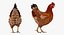 Colección 5 de animales de granja de gran tamaño