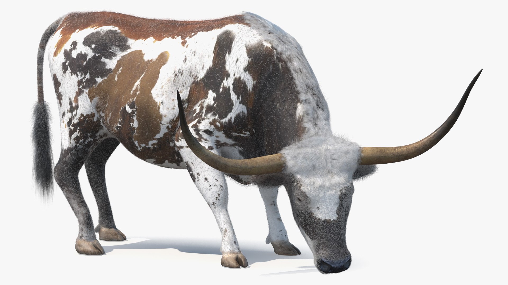 3D Farm Animals Big Rigged Collection 5 https://p.turbosquid.com/ts-thumb/06/jI1czq/iu/farm_animals_big_rigged_collection_5_005/jpg/1768986960/1920x1080/fit_q87/8ab28851beba6ec3d1a2c547ffbdfdfb19b669e1/farm_animals_big_rigged_collection_5_005.jpg