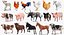 Colección 5 de animales de granja de gran tamaño