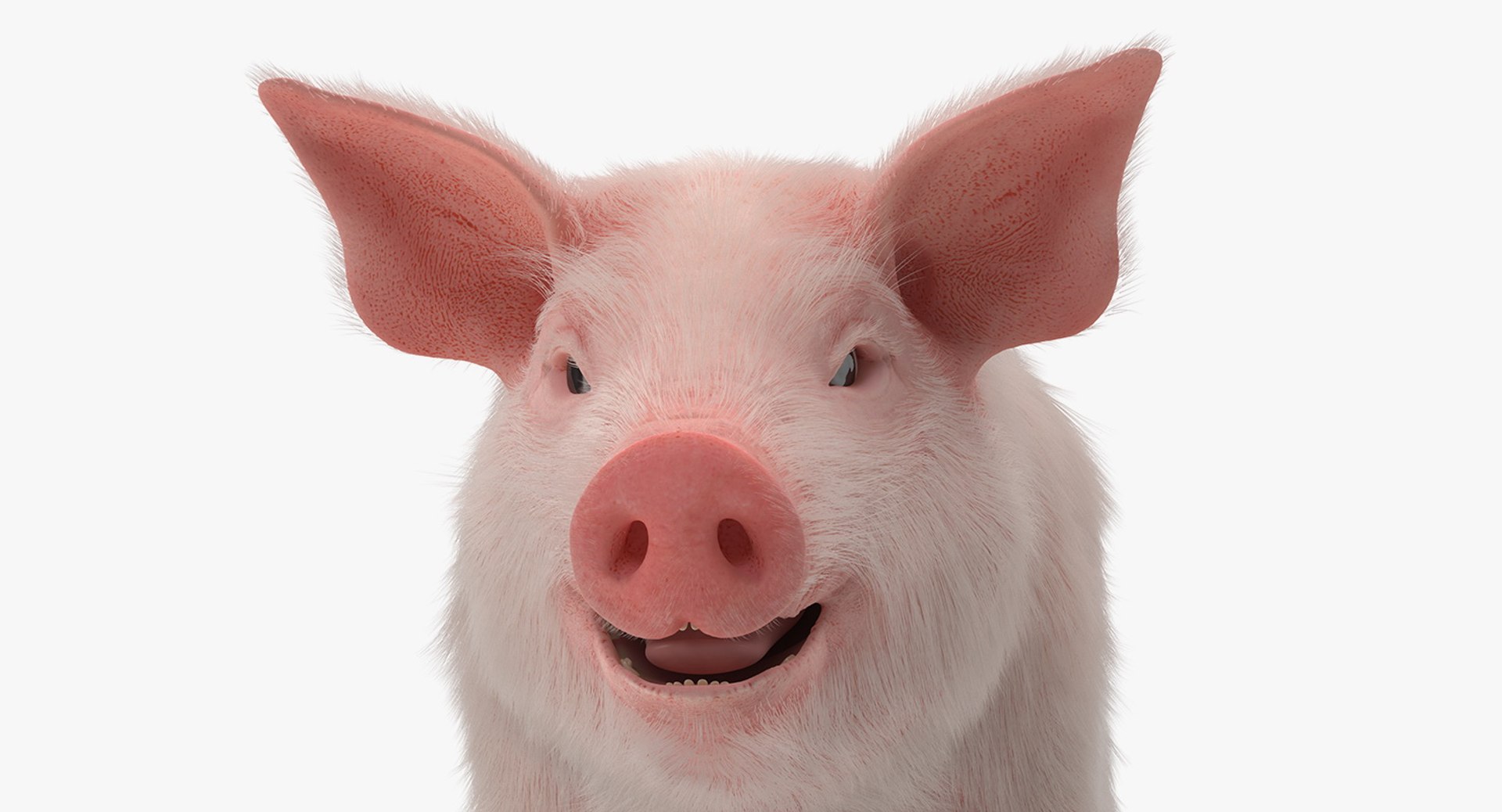 3D Farm Animals Big Rigged Collection 5 https://p.turbosquid.com/ts-thumb/06/jI1czq/wo/farm_animals_big_rigged_collection_5_044/jpg/1768986980/1920x1080/fit_q87/ac9581c8b1949ff0bd257558b872afb2be9ca262/farm_animals_big_rigged_collection_5_044.jpg