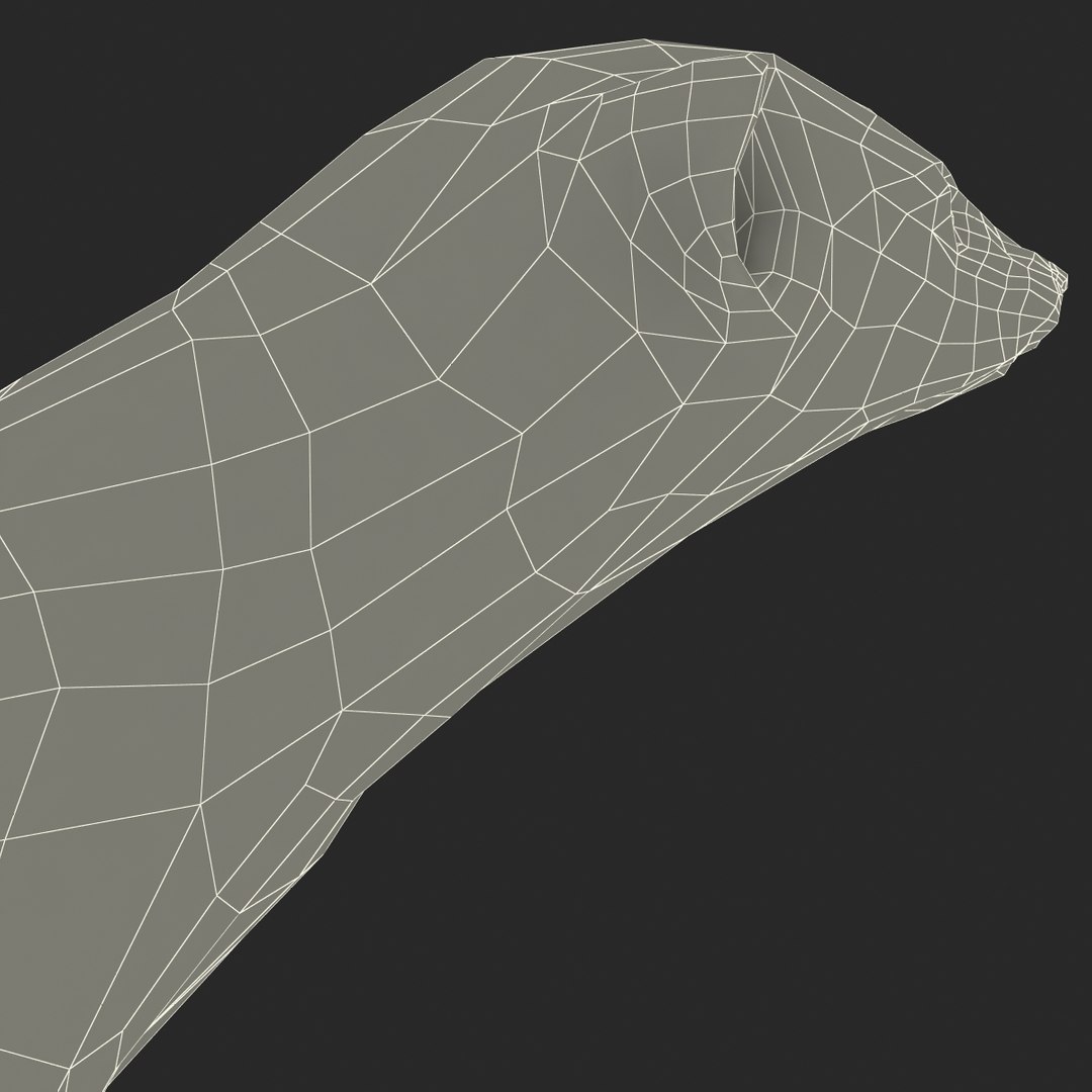 3d model weasel fur https://p.turbosquid.com/ts-thumb/06/xvcfiY/Mw1ax2JK/weaselfur_33/jpg/1384801082/1920x1080/fit_q87/06f2a7905e80a0bce60f51087a3188cc72b1fca3/weaselfur_33.jpg