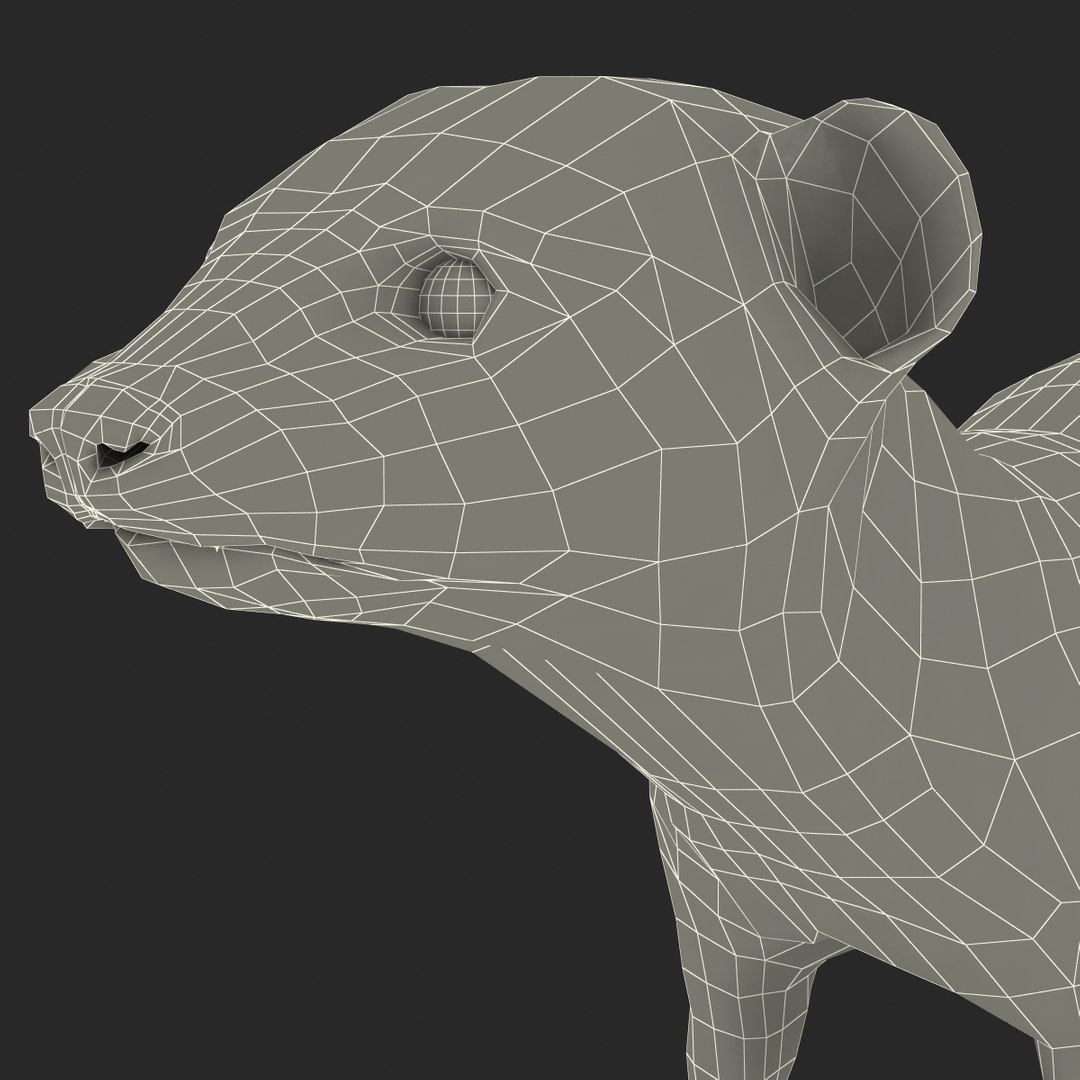 3d model weasel fur https://p.turbosquid.com/ts-thumb/06/xvcfiY/NnKPDfkD/weaselfur_28/jpg/1384801054/1920x1080/fit_q87/4154c16330e16144760ba88e80898da2386fbb13/weaselfur_28.jpg
