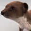 Weasel Fur
