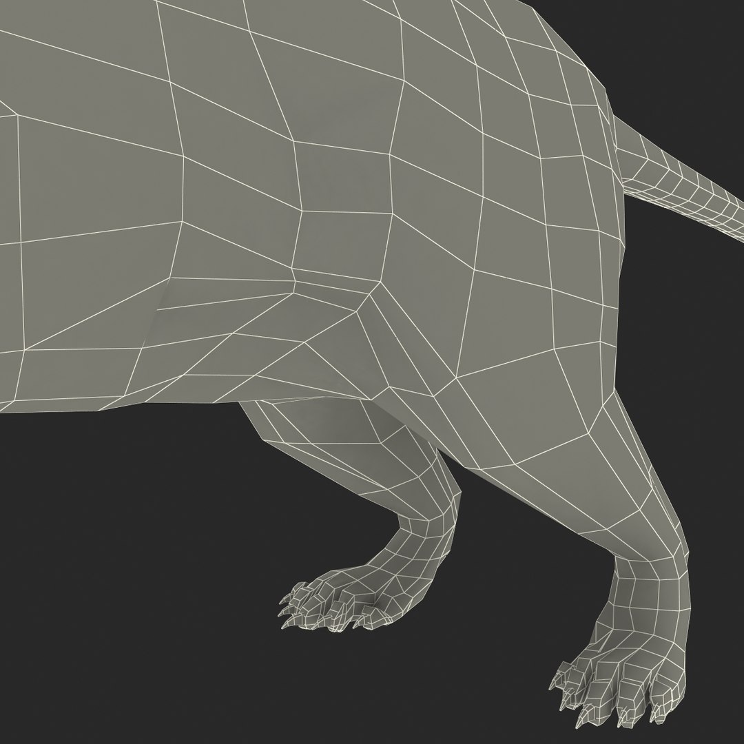 3d model weasel fur https://p.turbosquid.com/ts-thumb/06/xvcfiY/q7xTcT2X/weaselfur_30/jpg/1384801069/1920x1080/fit_q87/297dfd7eaa689f4611f6398c1ff85f54a8747595/weaselfur_30.jpg