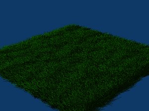 3d grass