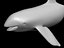 WHALE