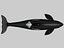 WHALE