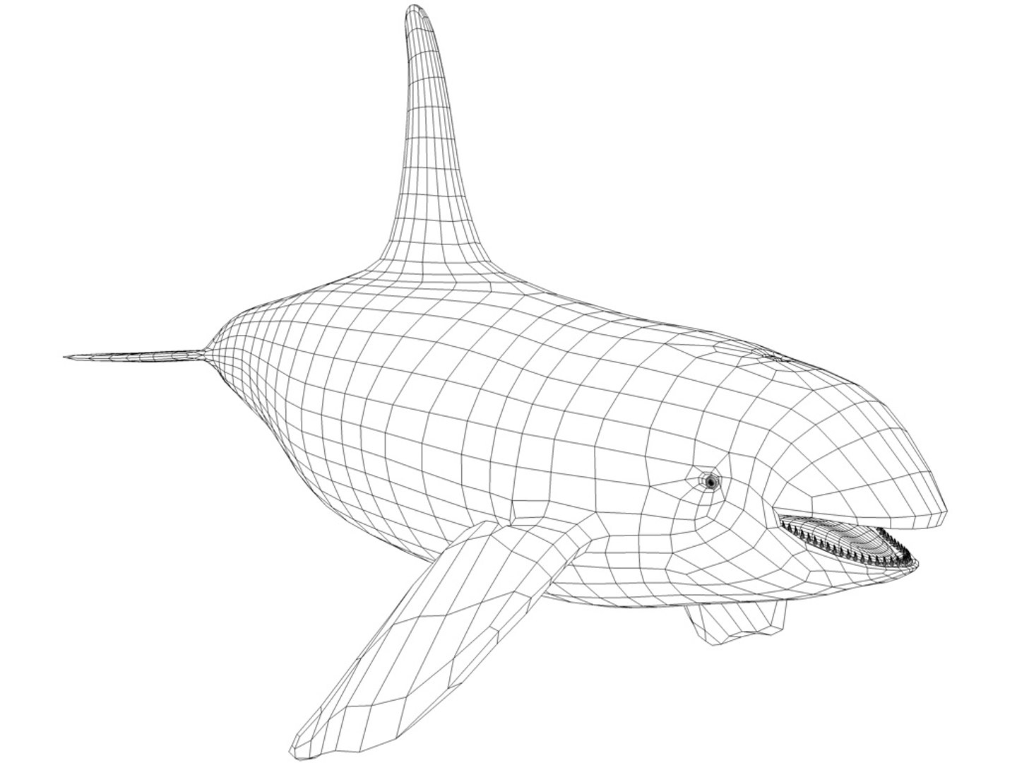 3d orca whale https://p.turbosquid.com/ts-thumb/07/RbvyQq/bPsJJtwu/whaleh/jpg/1240724008/1920x1080/fit_q87/6c05266425cdef0eef49e79da34546f9cd842fcb/whaleh.jpg
