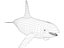 WHALE
