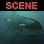 WHALE