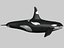 WHALE