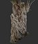 Ancient Olive Tree 2x16k Textures 3D Scan OBJ MarmosetToolbag3