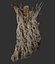 Ancient Olive Tree 2x16k Textures 3D Scan OBJ MarmosetToolbag3
