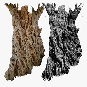 Ancient Olive Tree 2x16k Textures 3D Scan OBJ MarmosetToolbag3