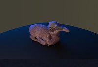 Pelican Chick