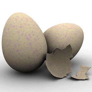 bird s eggs 3d model