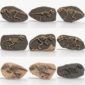 3D 9 Textured Dinosaur Fossils Collection 1 model