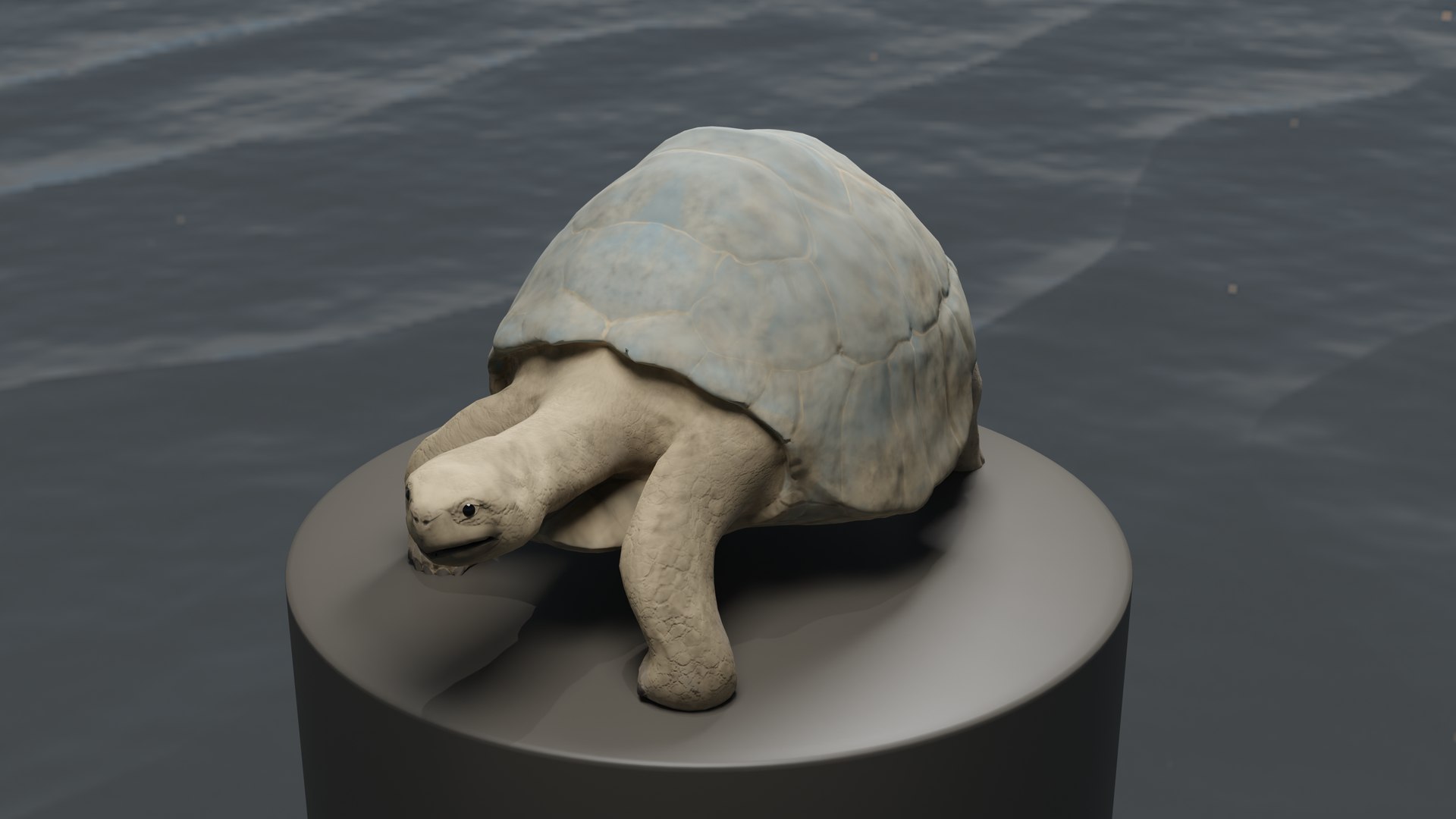Howard The Turtle 3D Model - TurboSquid 2070139