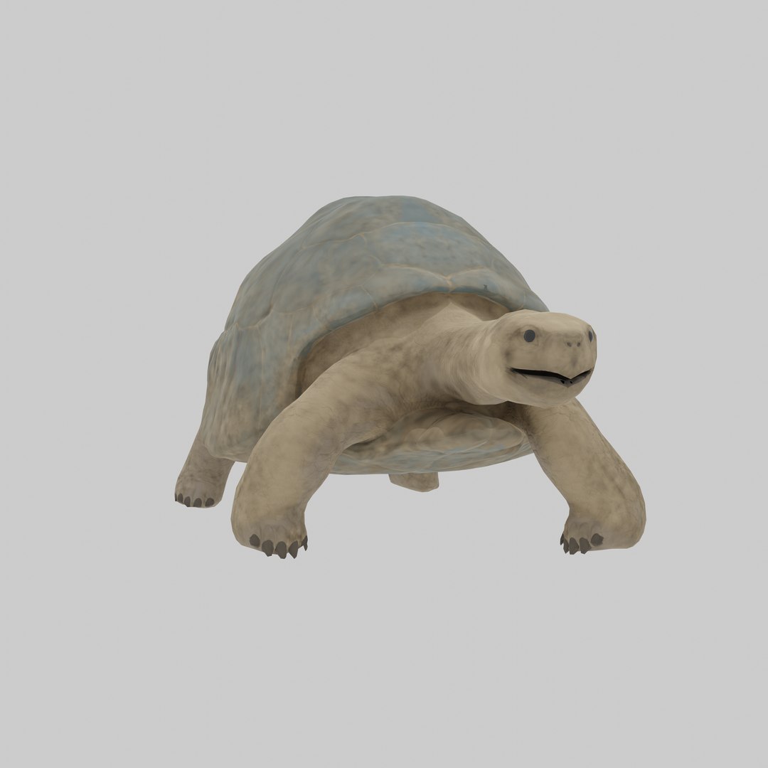 Howard The Turtle 3D Model - TurboSquid 2070139