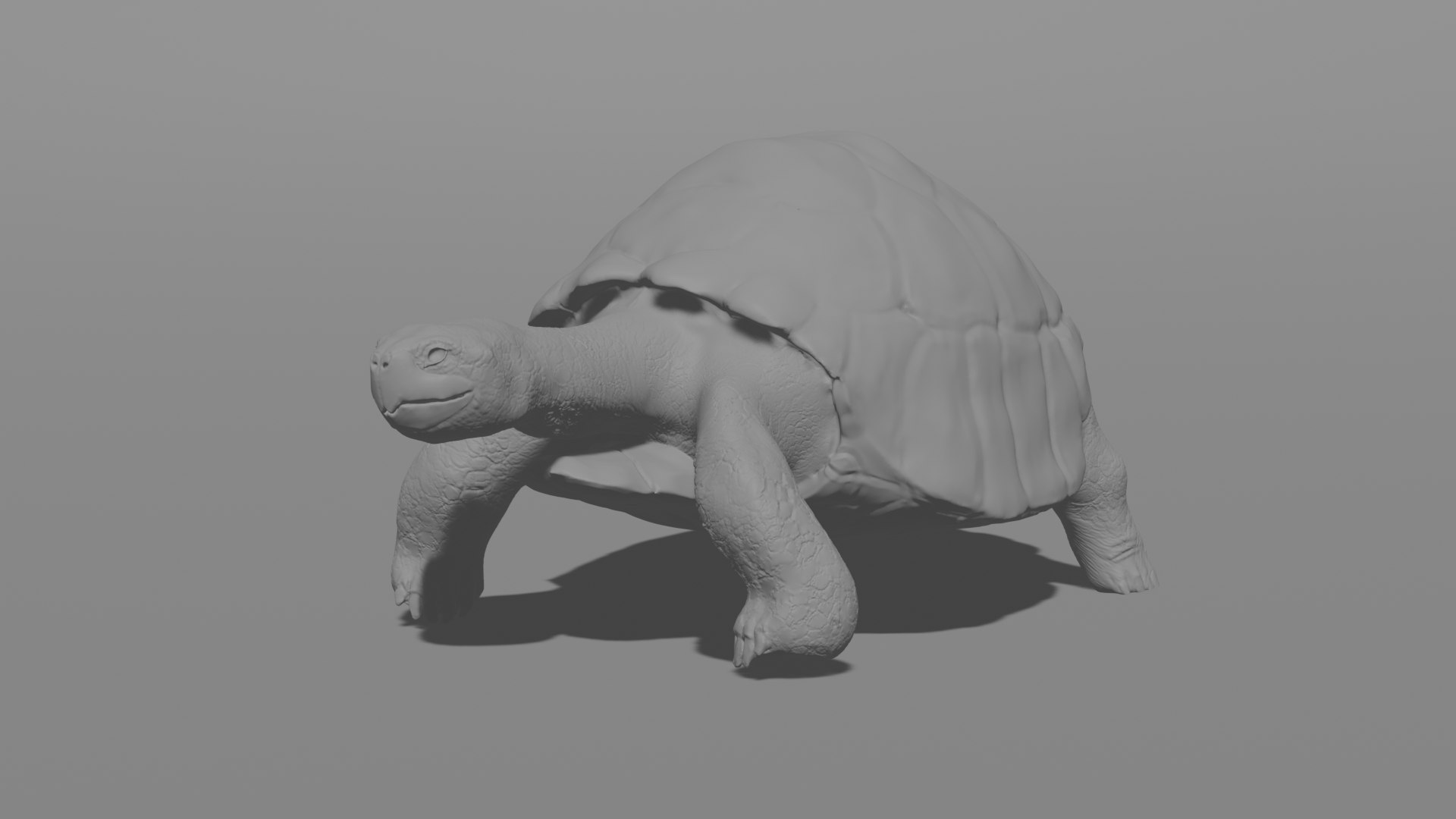 Howard The Turtle 3D Model - TurboSquid 2070139