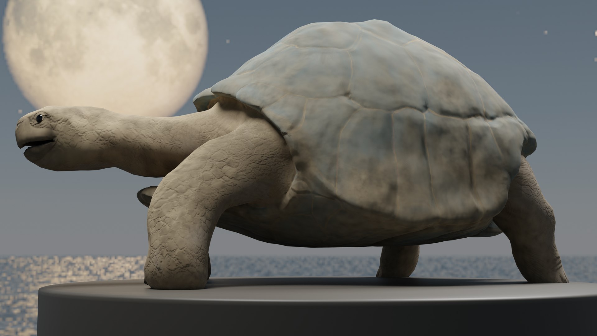 Howard The Turtle 3D Model - TurboSquid 2070139