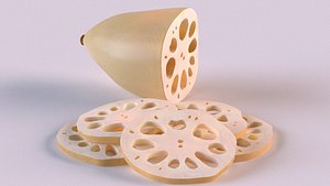 root slises cuisine 3D model