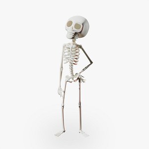 Stylized Cartoon Skeleton - Rigged for Maya