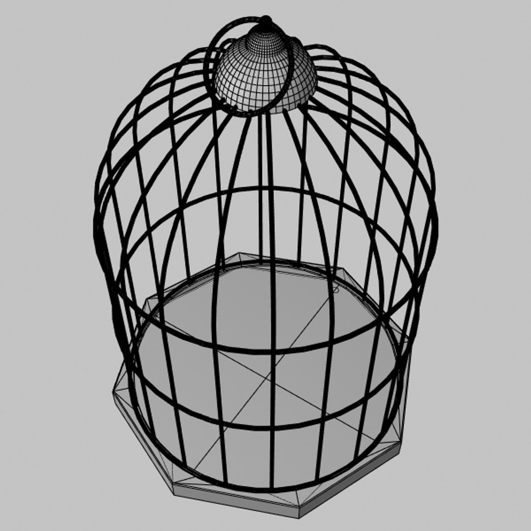 Cage 3d Model