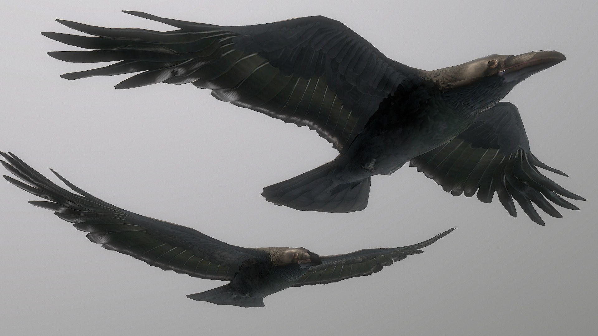 Flying Raven Low-poly 3D Model - TurboSquid 1839813