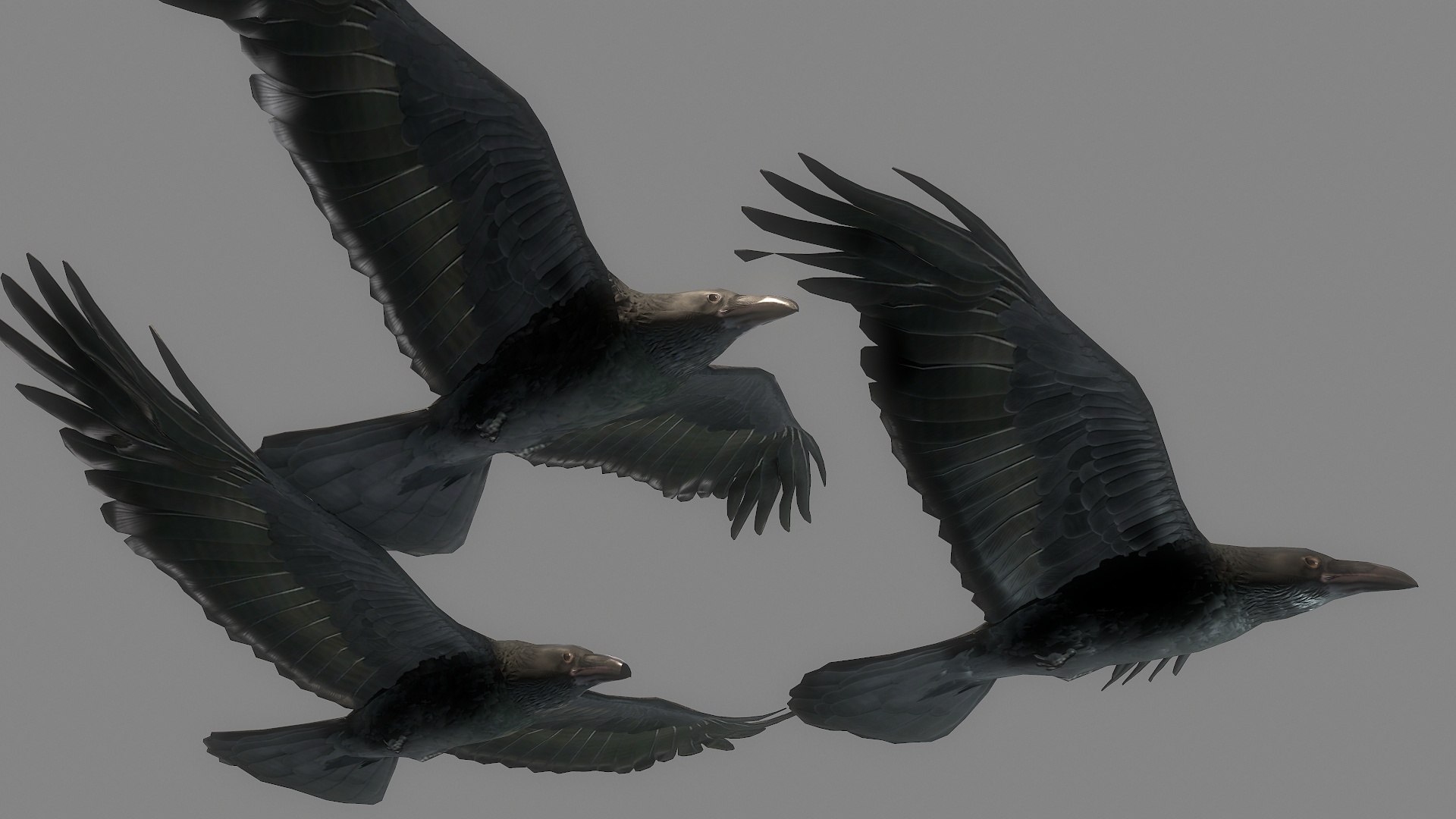 Flying Raven Low-poly 3D Model - TurboSquid 1839813