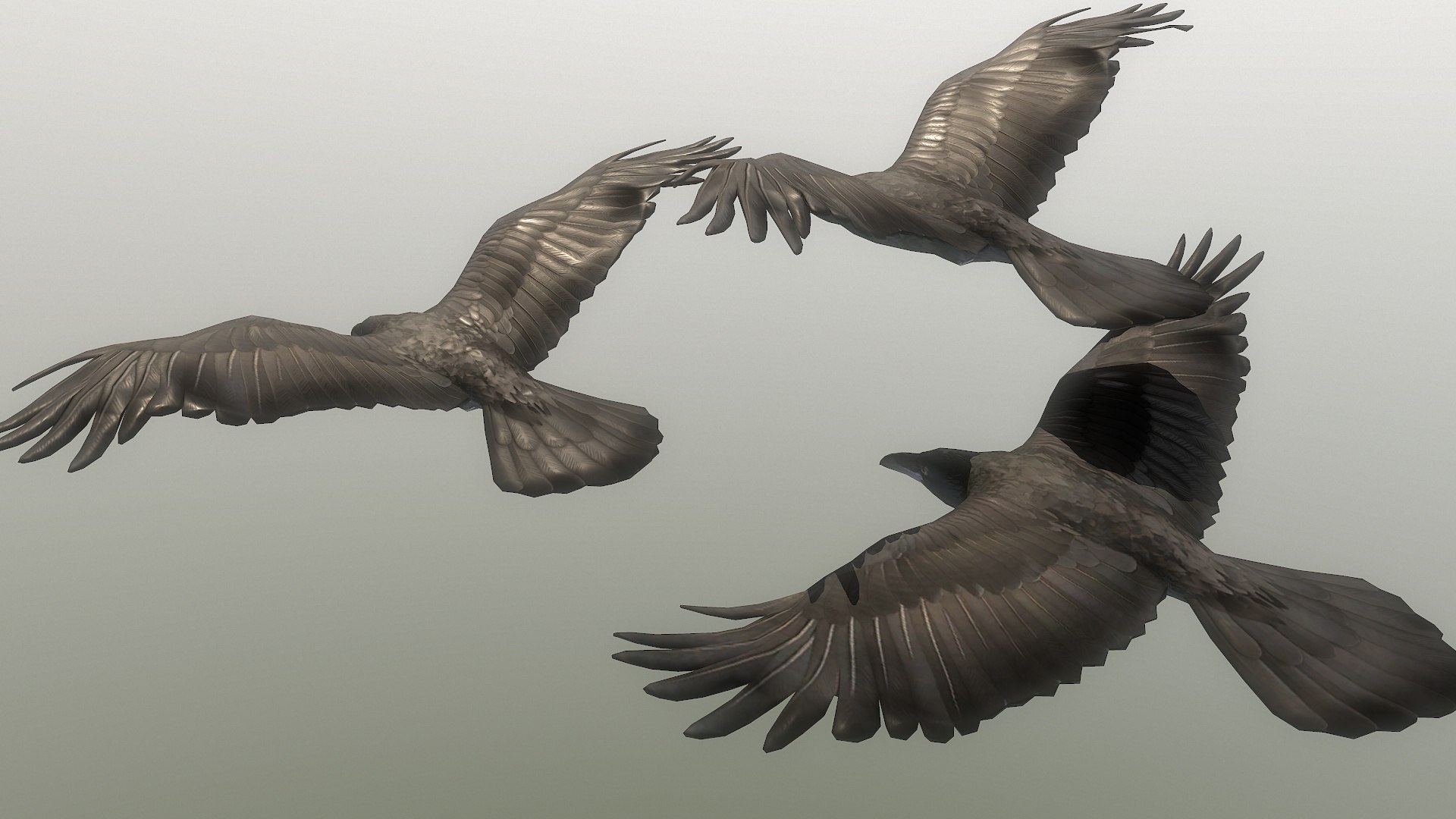 Flying Raven Low-poly 3D Model - TurboSquid 1839813
