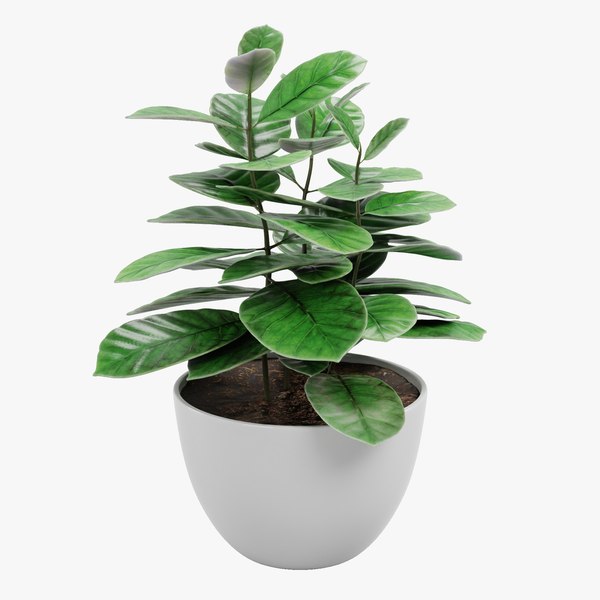 Free Flower Pot Blender Models for Download | TurboSquid